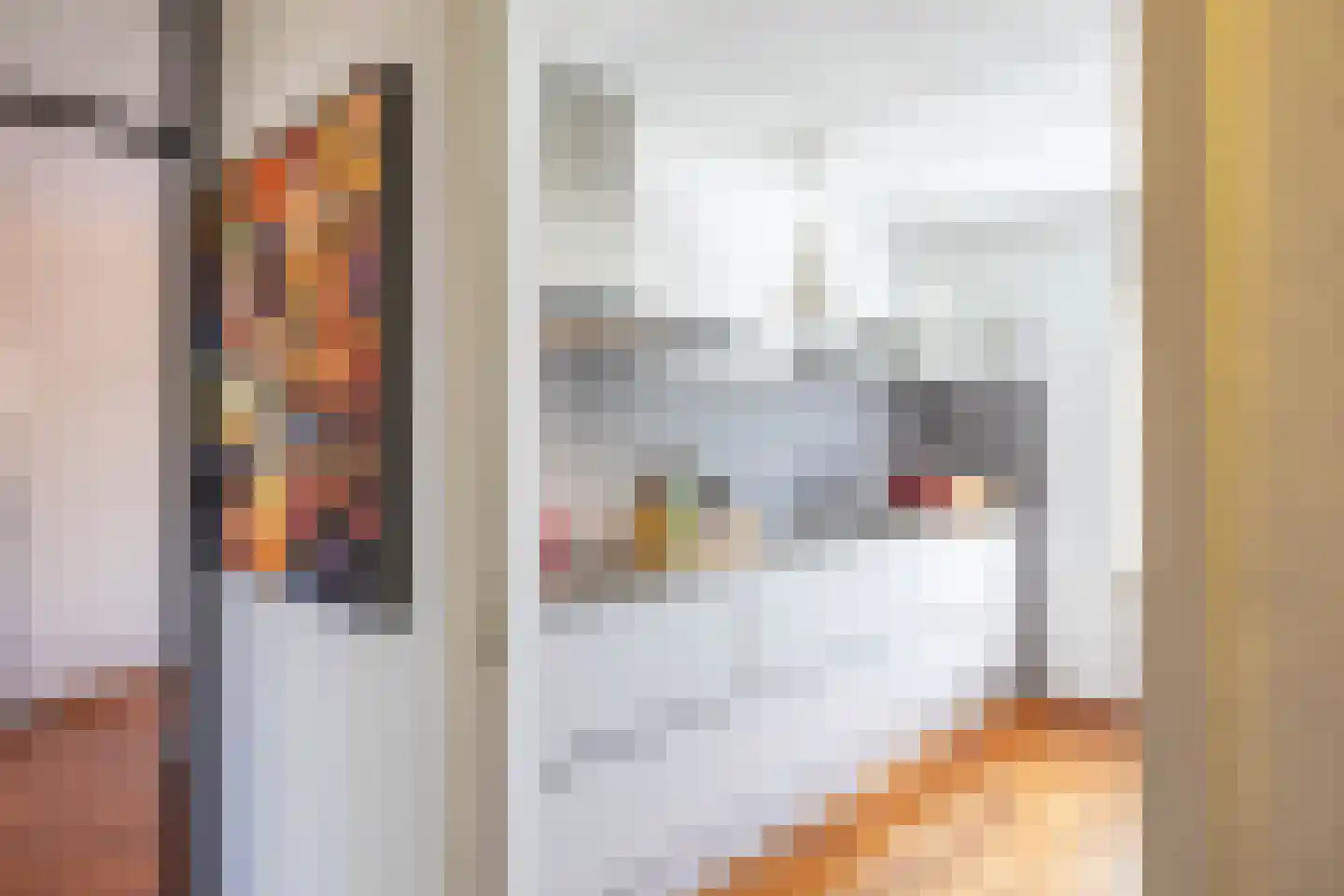 M.K. Gandhiplein 16 Groningen thumbnail 19