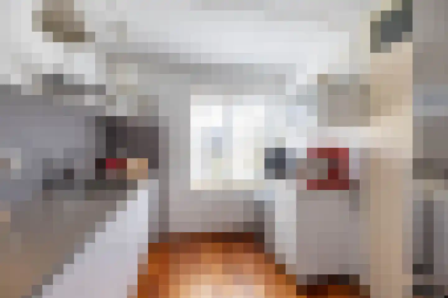 M.K. Gandhiplein 16 Groningen thumbnail 20