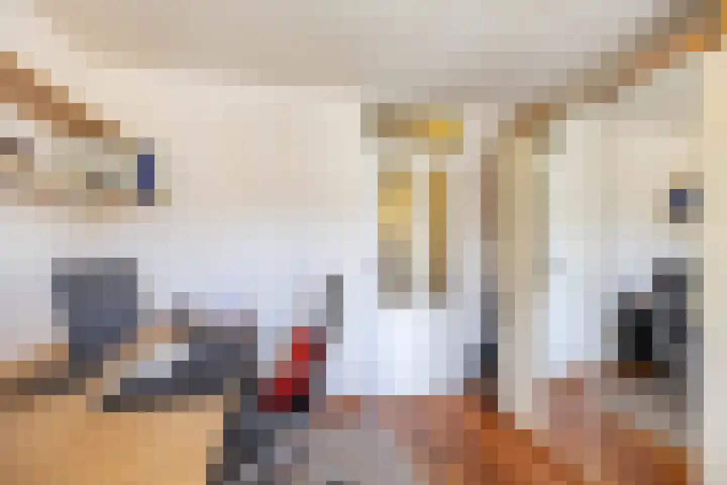 M.K. Gandhiplein 16 Groningen thumbnail 28