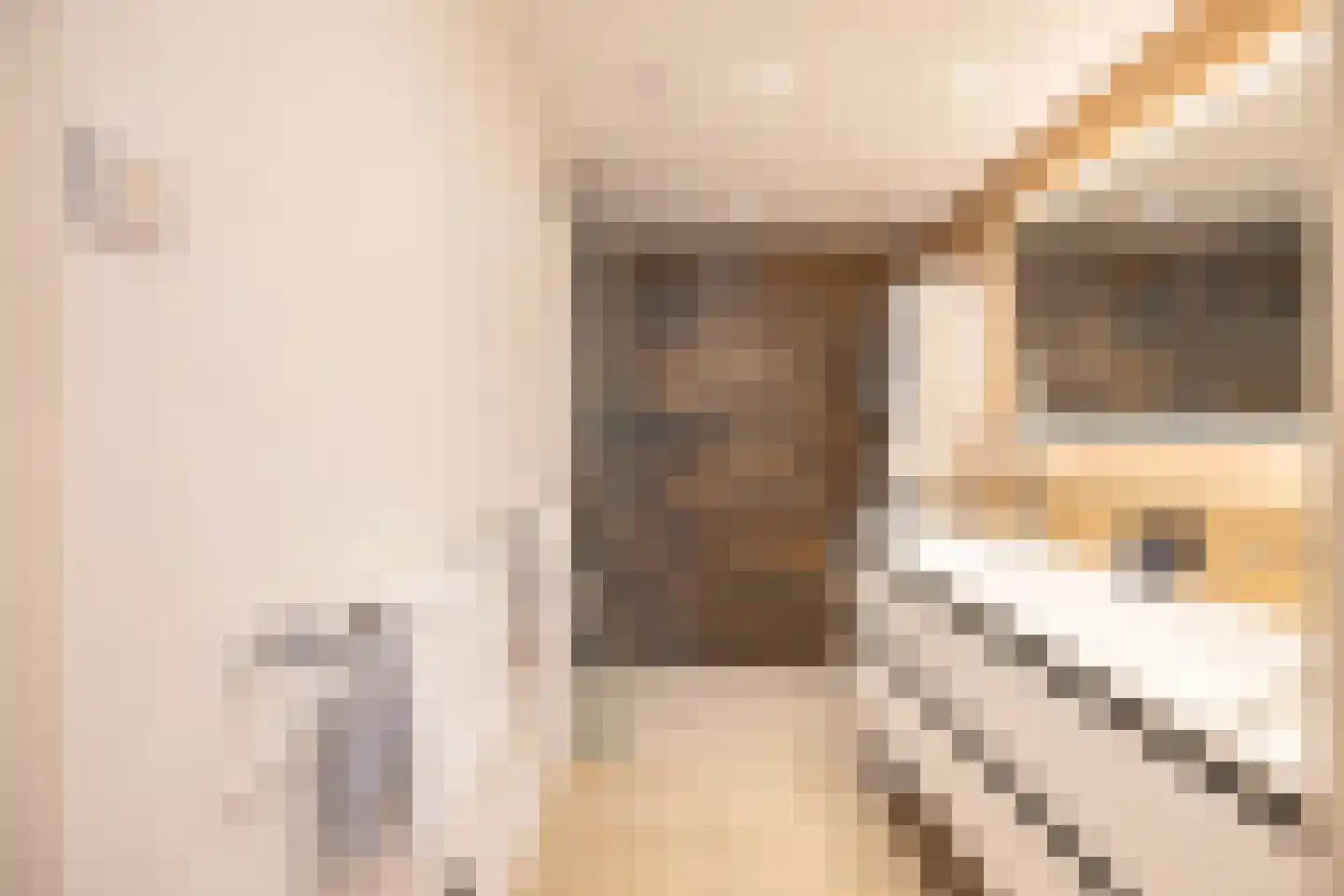 M.K. Gandhiplein 16 Groningen thumbnail 30
