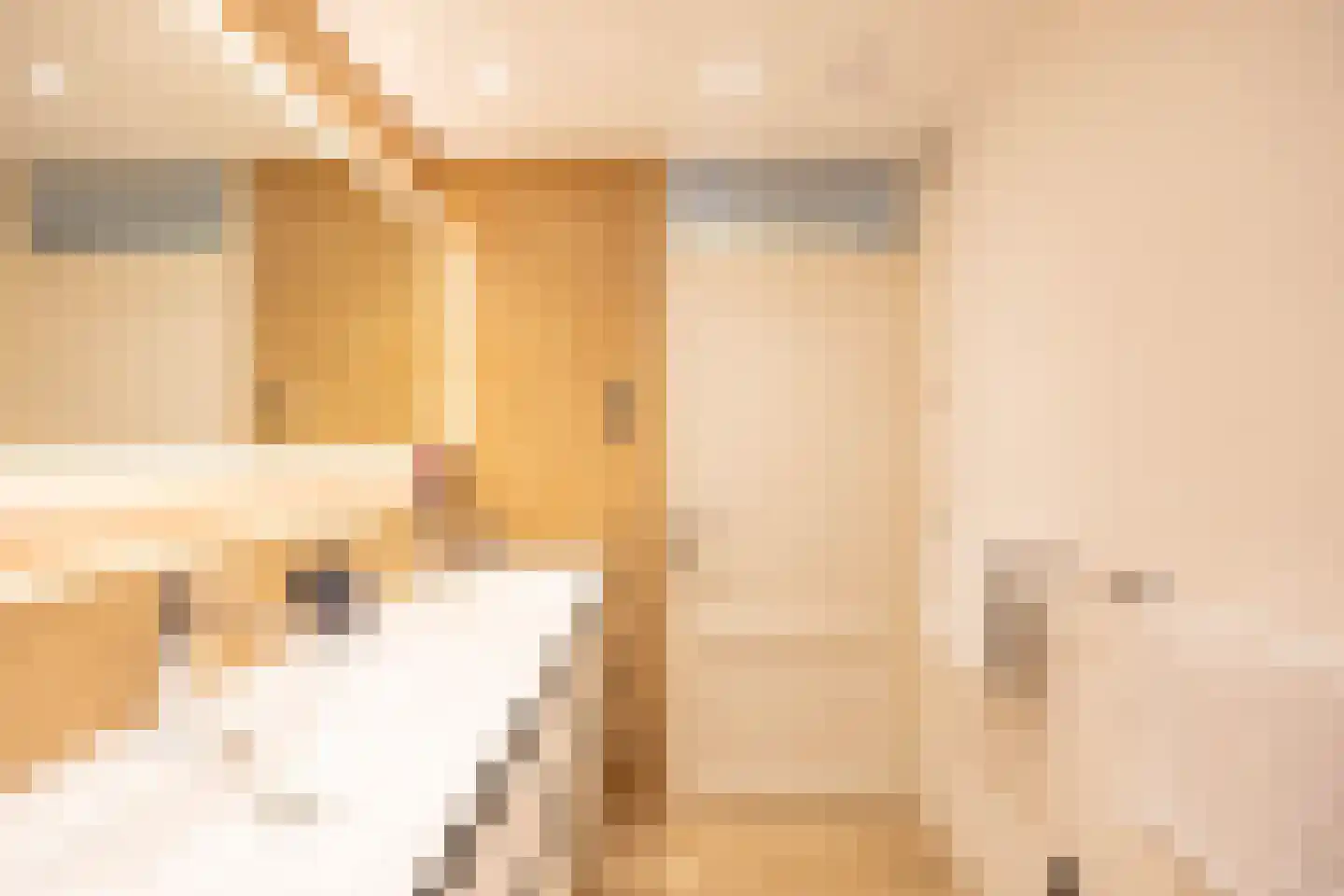 M.K. Gandhiplein 16 Groningen thumbnail 31
