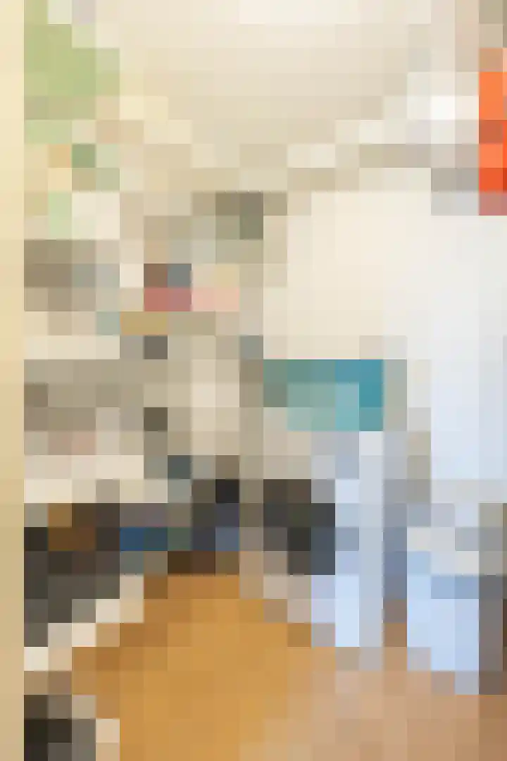 M.K. Gandhiplein 26 Groningen thumbnail 33