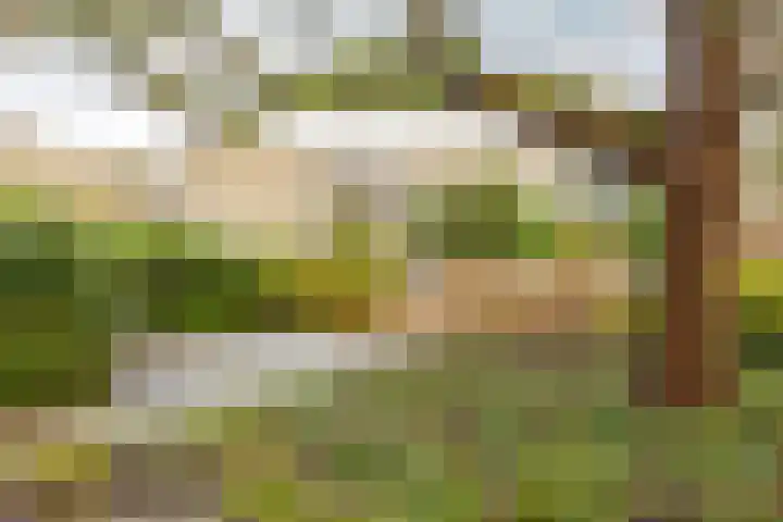 M.K. Gandhiplein 26 Groningen thumbnail 37