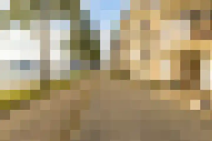 M.K. Gandhiplein 26 Groningen thumbnail 42