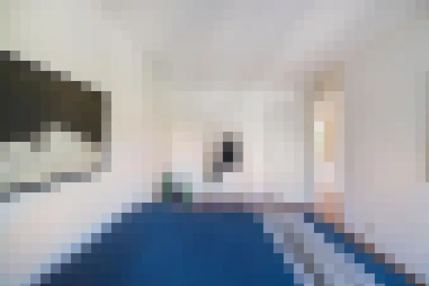 M.K. Gandhiplein 32 Groningen thumbnail 17