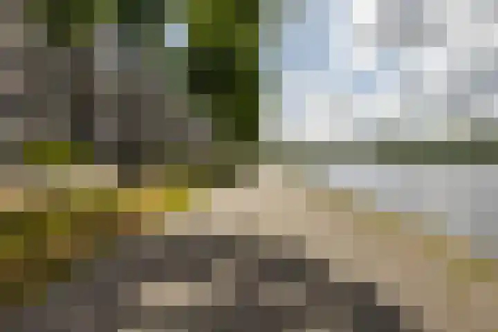 M.K. Gandhiplein 46 Groningen thumbnail 33