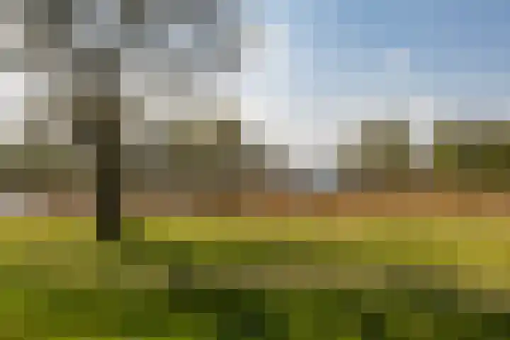 M.K. Gandhiplein 46 Groningen thumbnail 36