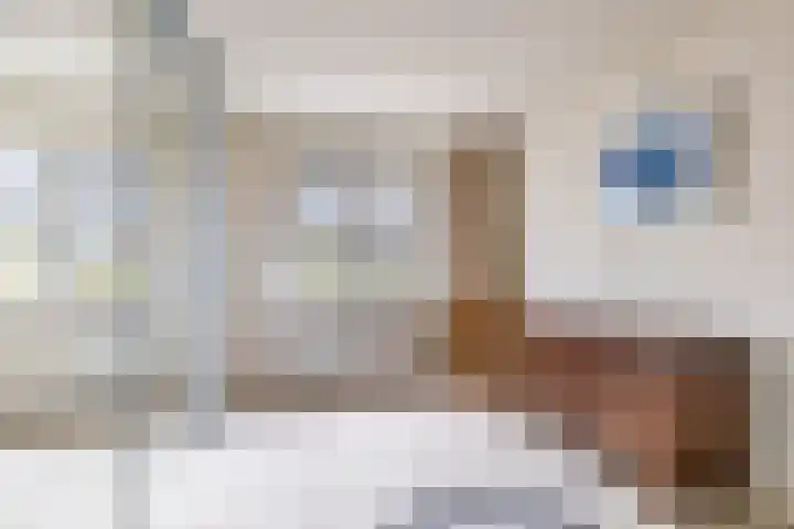 M.K. Gandhiplein 63 Groningen thumbnail 11