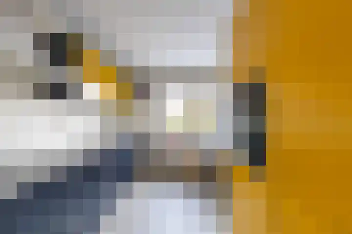 M.K. Gandhiplein 63 Groningen thumbnail 19