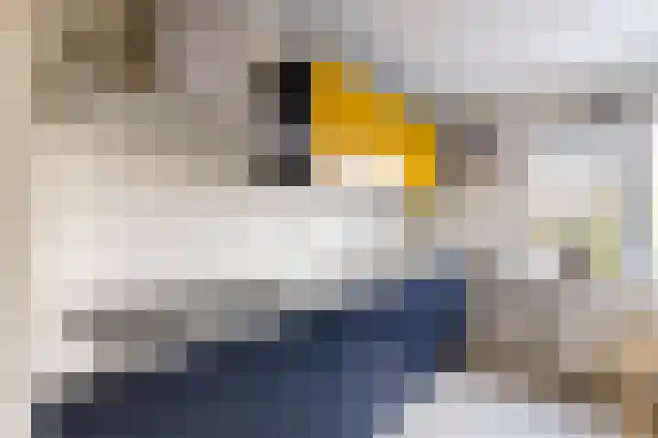 M.K. Gandhiplein 63 Groningen thumbnail 20