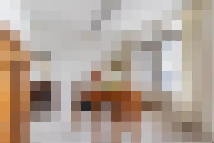 M.K. Gandhiplein 63 Groningen thumbnail 28