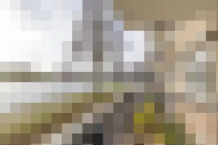 M.K. Gandhiplein 63 Groningen thumbnail 35