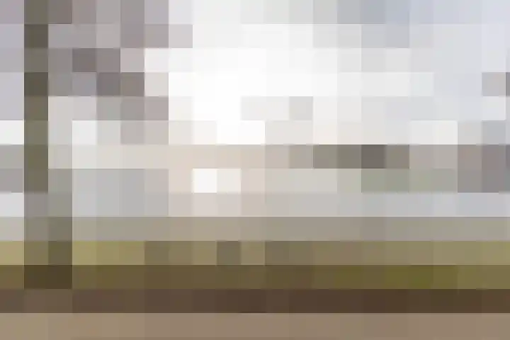 M.K. Gandhiplein 63 Groningen thumbnail 36