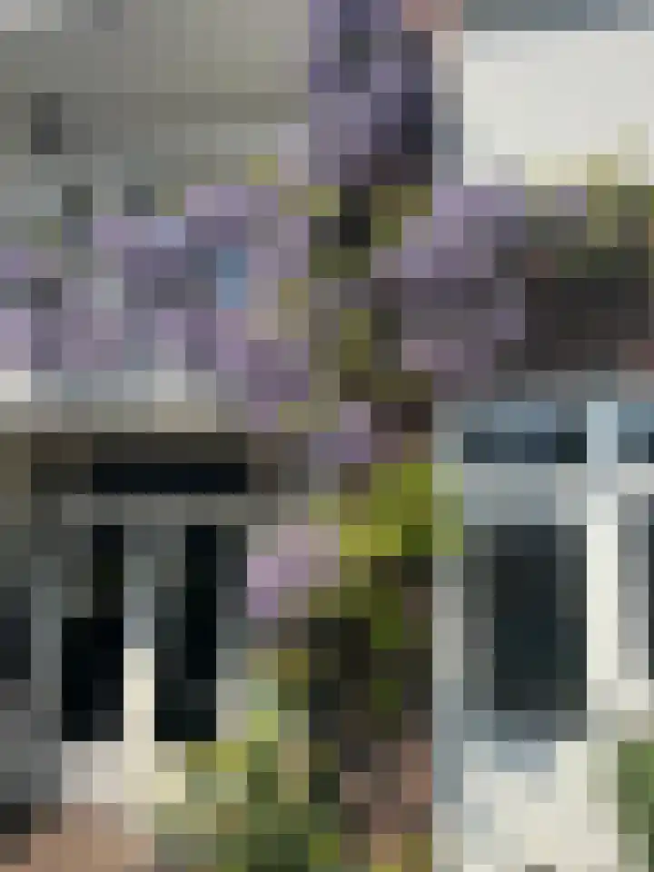 M.K. Hofstedestraat 18 IJmuiden thumbnail 55
