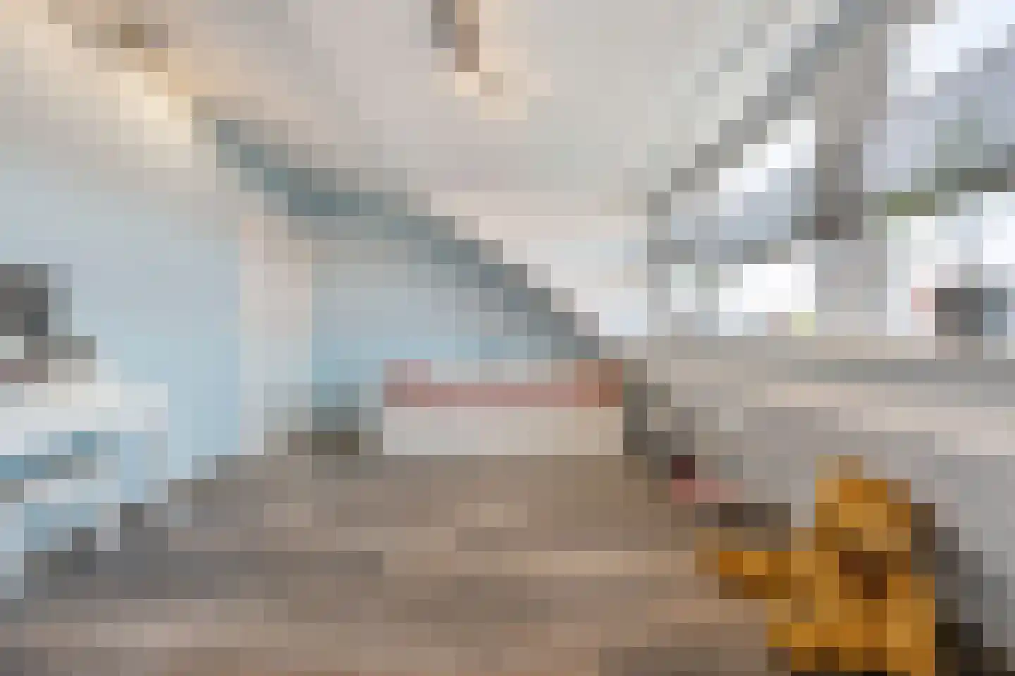 M. Kropholler-Staalstraat 9 Assendelft thumbnail 32