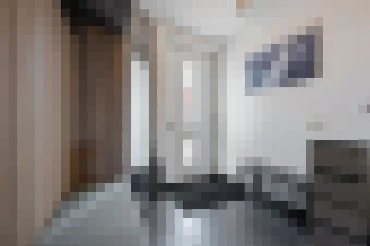 M. Kropholler-Staalstraat 9 Assendelft thumbnail 35