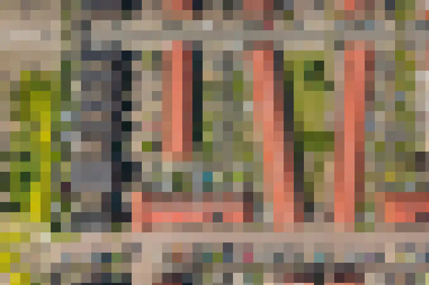 M. Kropholler-Staalstraat 9 Assendelft thumbnail 36