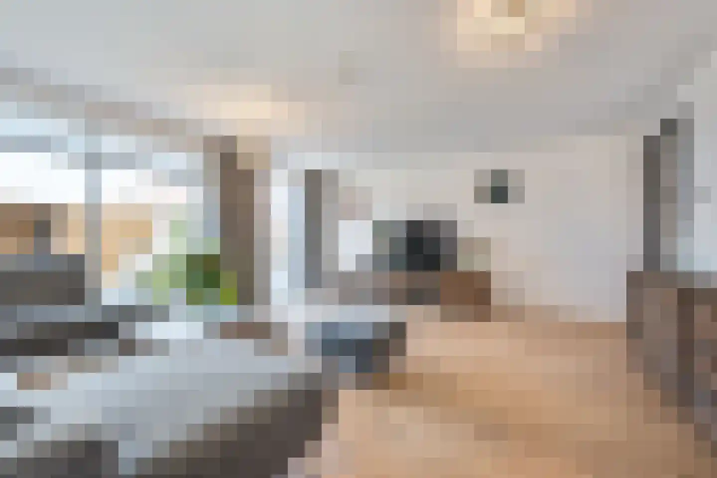 M. Kropholler-Staalstraat 9 Assendelft thumbnail 5