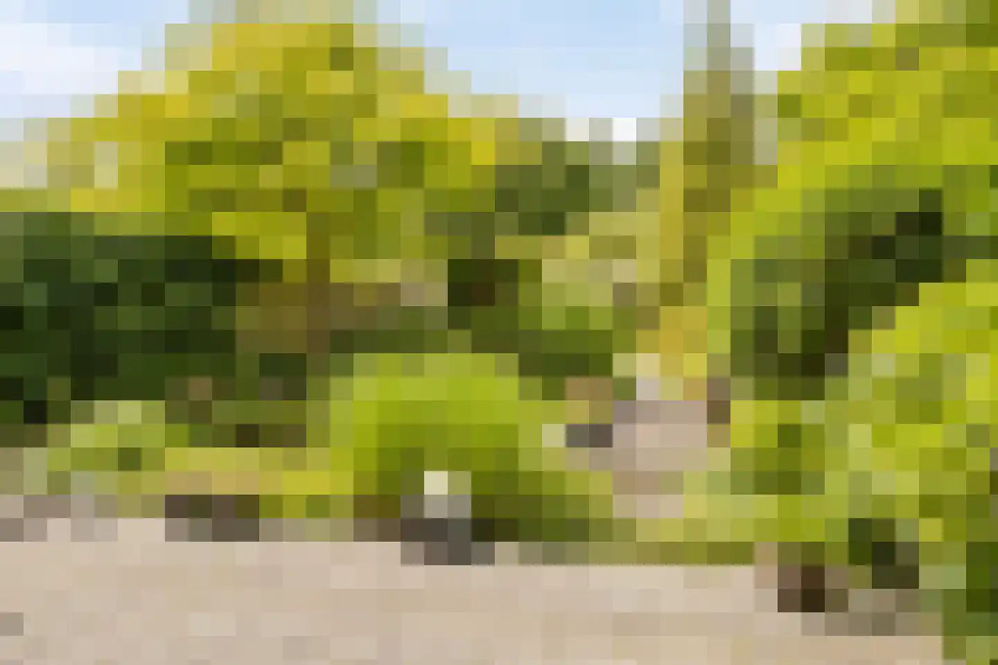 M.L. Kingstraat 101 Groningen thumbnail 31