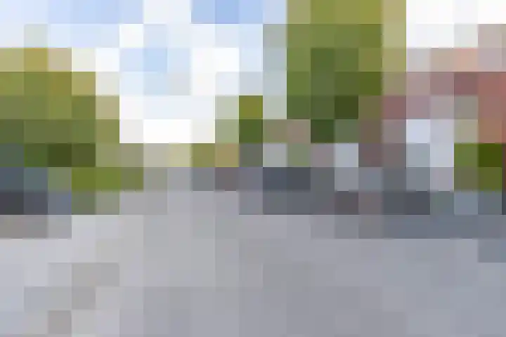 M.L. Kingstraat 118 Groningen thumbnail 32