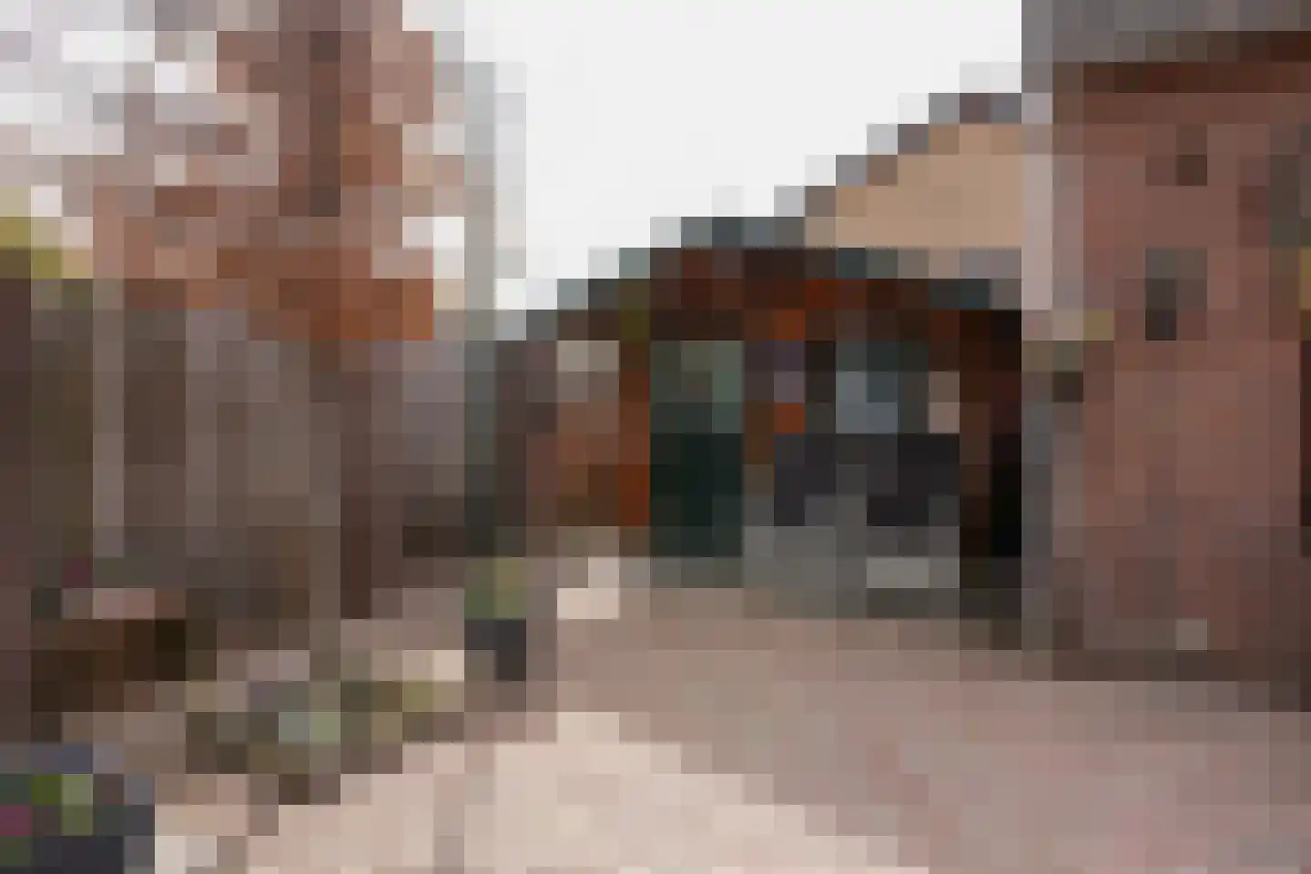 M.L. Kingstraat 32 Eijsden thumbnail 26