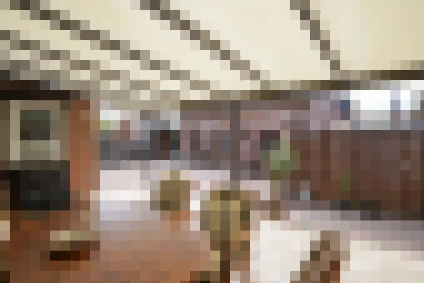 M.L. Kingstraat 32 Eijsden thumbnail 32