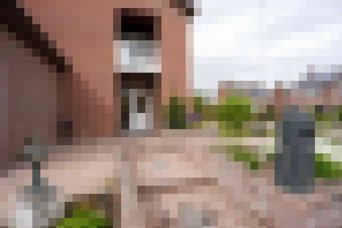 M.L. Kingstraat 32 Eijsden thumbnail 42