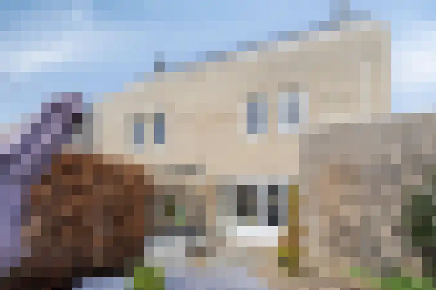 M.L. Kingstraat 4 C Eijsden thumbnail 35