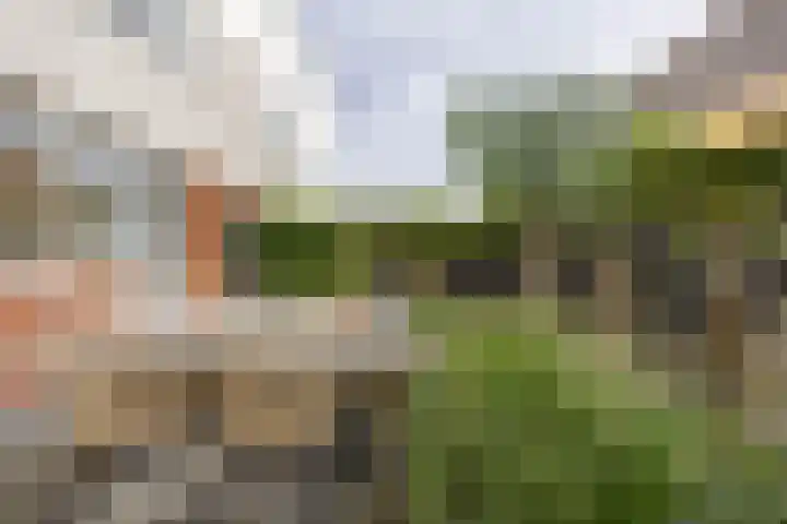 M.L. Kingstraat 64 Groningen thumbnail 30
