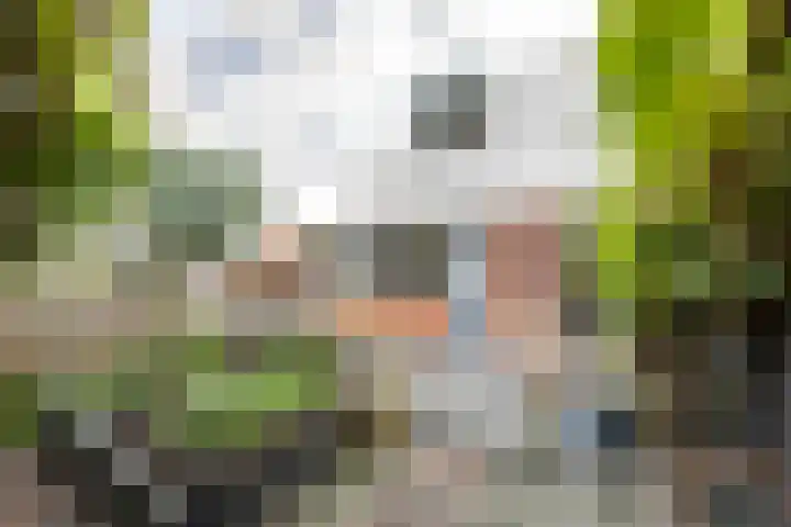 M.L. Kingstraat 64 Groningen thumbnail 31