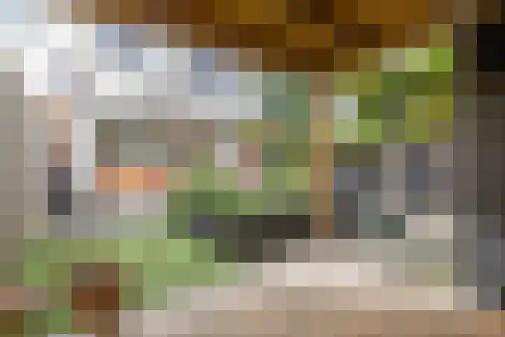 M.L. Kingstraat 64 Groningen thumbnail 32