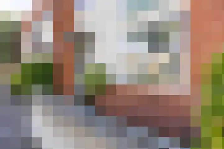 M.L. Kingstraat 64 Groningen thumbnail 6