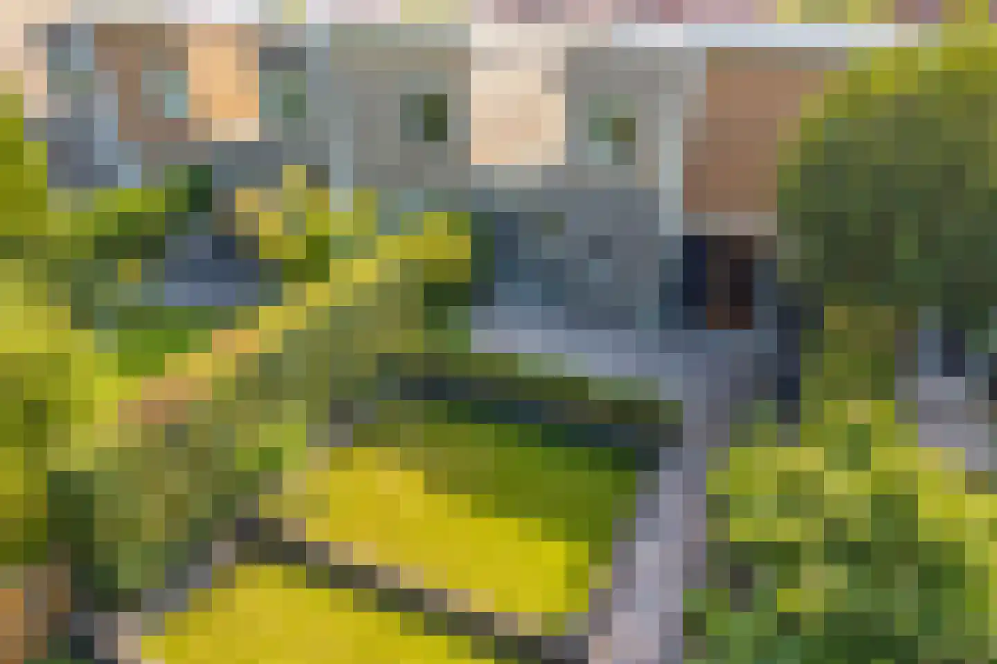M.L. Kingstraat 65 Groningen thumbnail 44