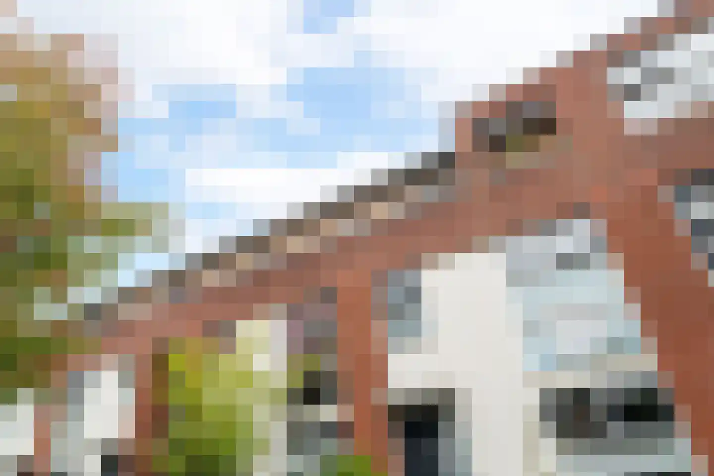 M.L. Kingstraat 96 Groningen thumbnail 10