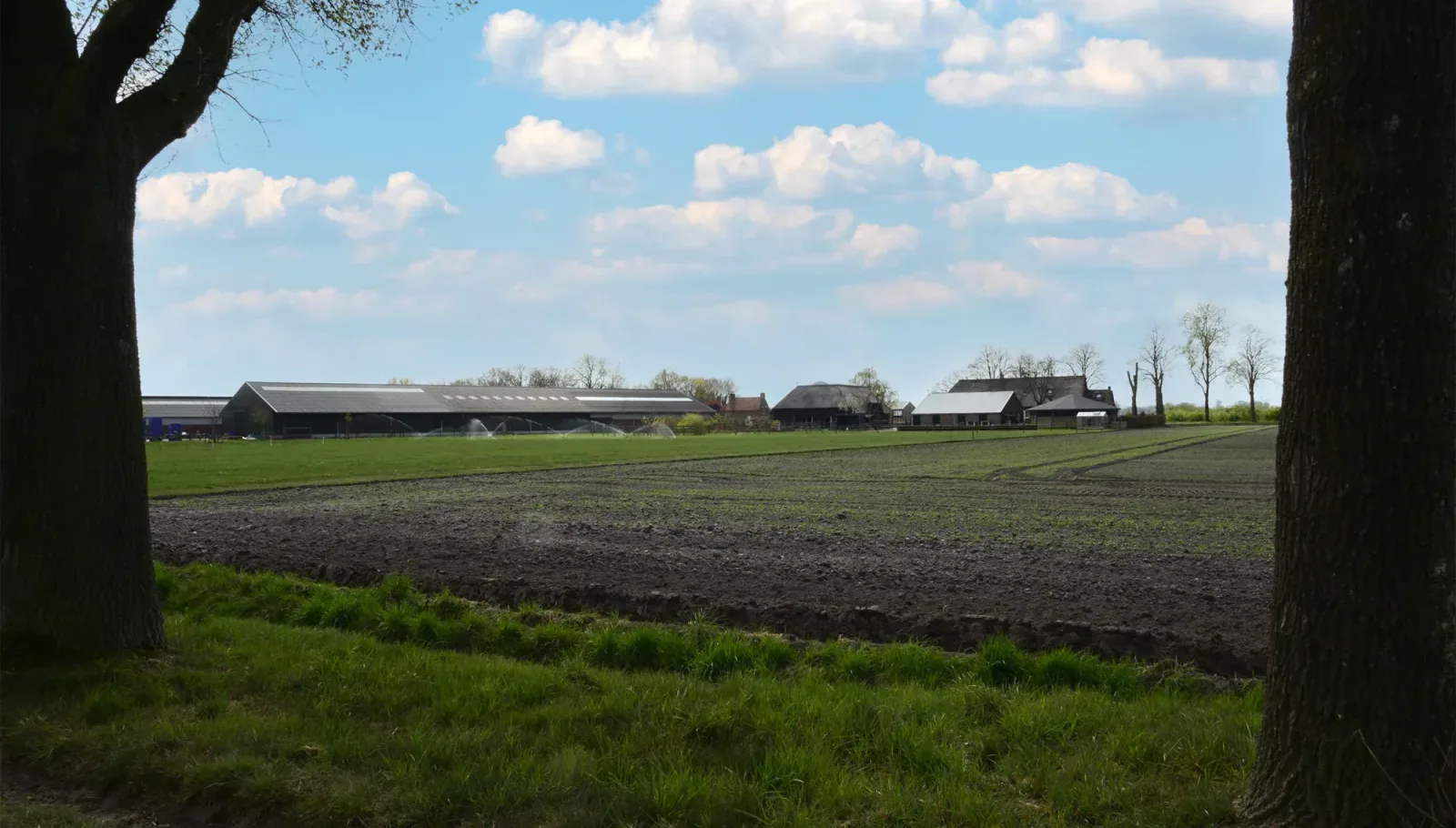 Team foto van M&M Makelaardij