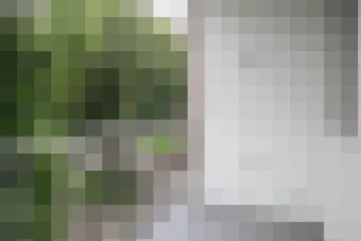 M.Nijhoffstraat 122 Weesp thumbnail 20