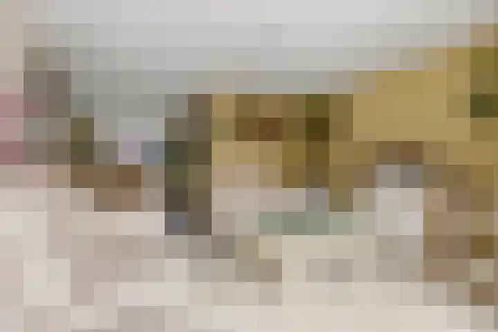 M. Noordzijstraat 25 Tiel thumbnail 10