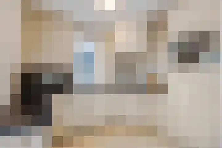 M. Noordzijstraat 25 Tiel thumbnail 13