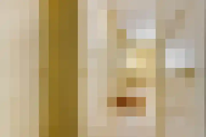 M. Noordzijstraat 25 Tiel thumbnail 15