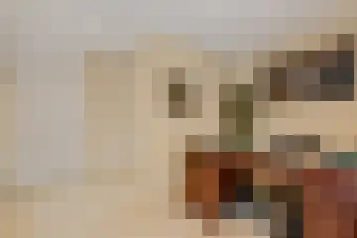 M. Noordzijstraat 25 Tiel thumbnail 18