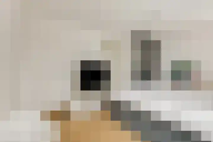 M. Noordzijstraat 25 Tiel thumbnail 22