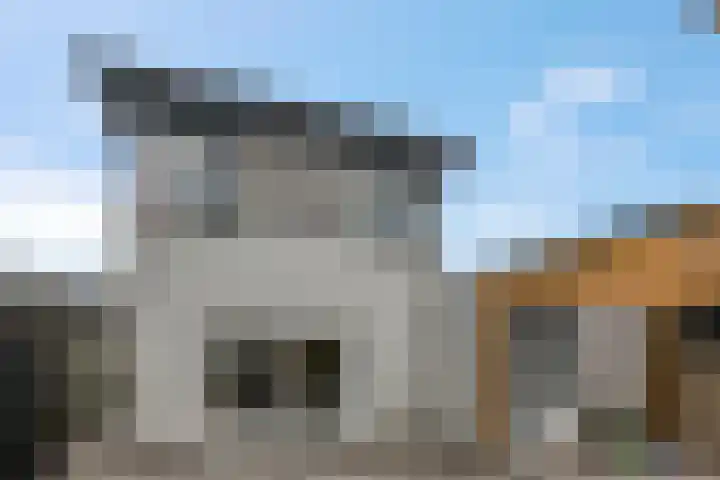 M. Noordzijstraat 25 Tiel thumbnail 33