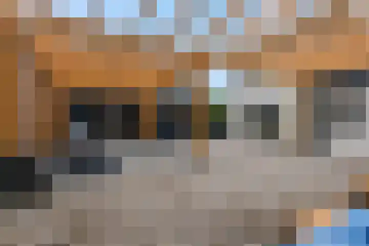 M. Noordzijstraat 25 Tiel thumbnail 37