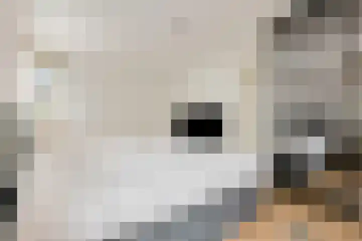 M. Noordzijstraat 25 Tiel thumbnail 4