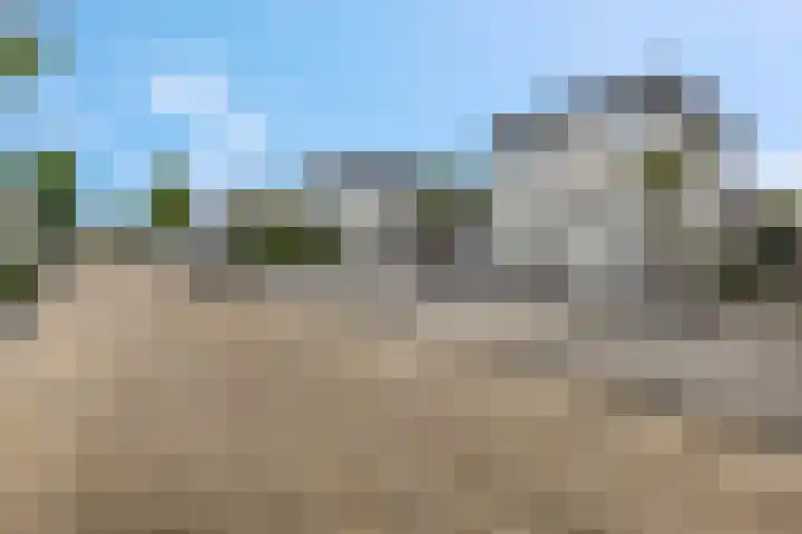 M. Noordzijstraat 25 Tiel thumbnail 40