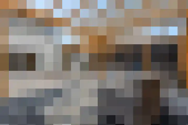 M. Noordzijstraat 25 Tiel thumbnail 5