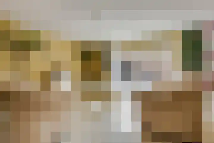 M. Noordzijstraat 25 Tiel thumbnail 7