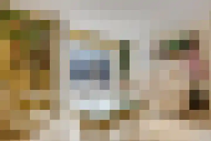 M. Noordzijstraat 25 Tiel thumbnail 8