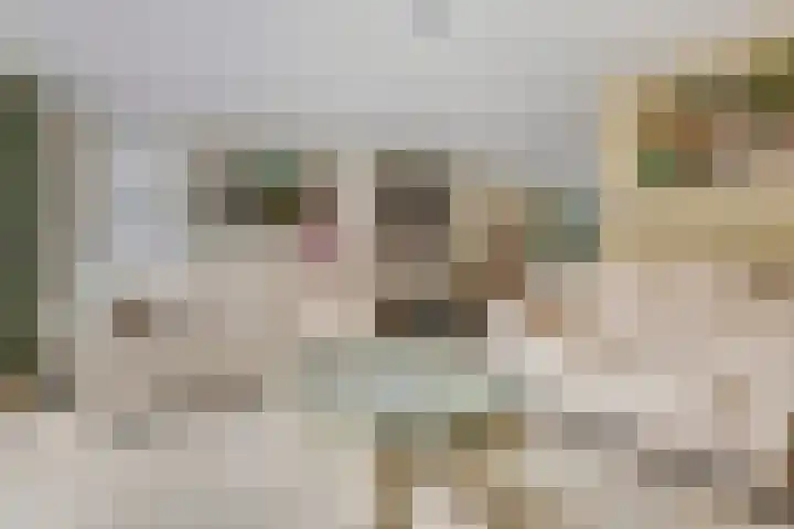 M. Noordzijstraat 25 Tiel thumbnail 9