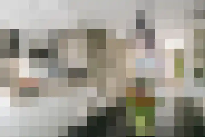 M. Noordzijstraat 6 Tiel thumbnail 11